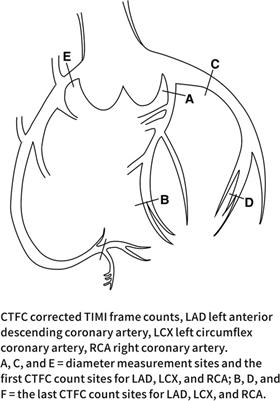 Atrial fibrillation episode status and incidence of coronary slow flow: A propensity score-matched analysis